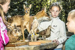 Foto Friesinger