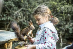 Foto Friesinger