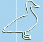 Stockente