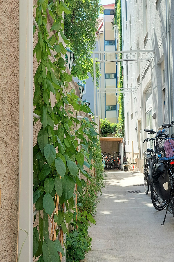 Fassade neu © GBG/Frischherz Fassade neu