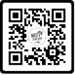 Anmelden via QR Code © GBG Anmelden via QR Code