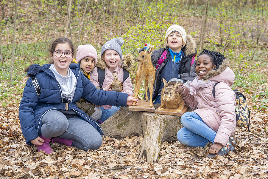 Willkommen in der Waldschule Graz