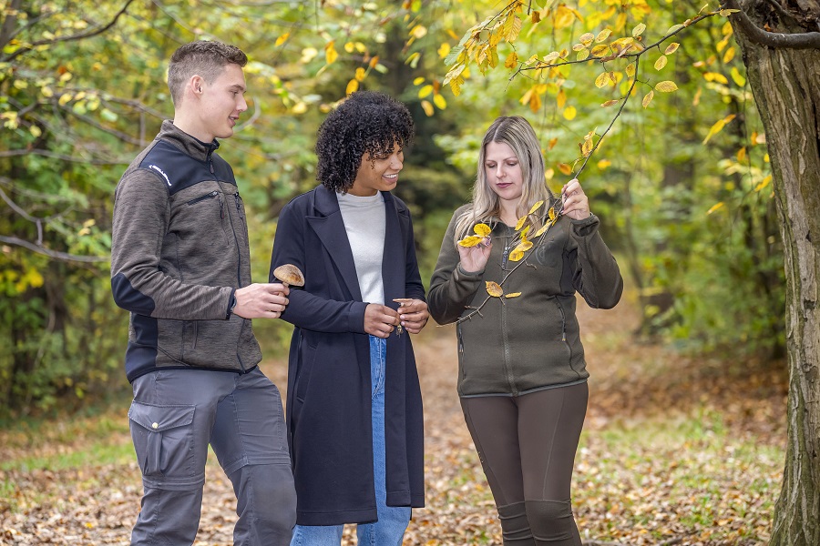 Entdeckungsreise durch den Wald