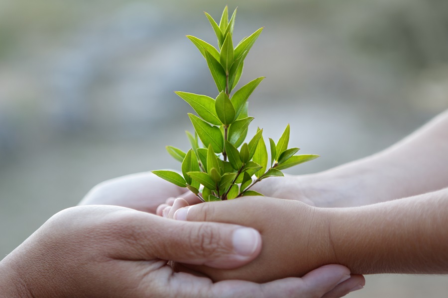 Ein Bäumchen wächst für jedes Grazer Kind! © iStock/amphotora Ein Bäumchen wächst für jedes Grazer Kind!