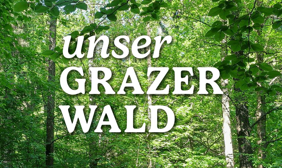 Unser Grazer Wald © Luise Kloos Unser Grazer Wald