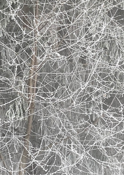 © Luise Kloos