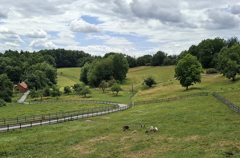 Der Lustbühel, eines von vielen Grazer Naherholungsgebieten. © GBG/Karl Untersweg-Nestler Der Lustbühel, eines von vielen Grazer Naherholungsgebieten.