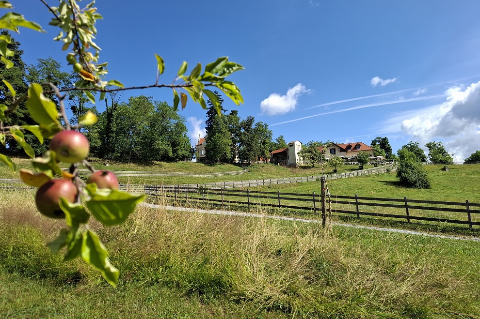 Herzlich willkommen am Lustbühel! © GBG/Karl Untersweg-Nestler Herzlich willkommen am Lustbühel!