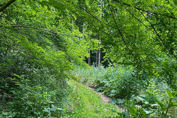 Naherholung in Graz