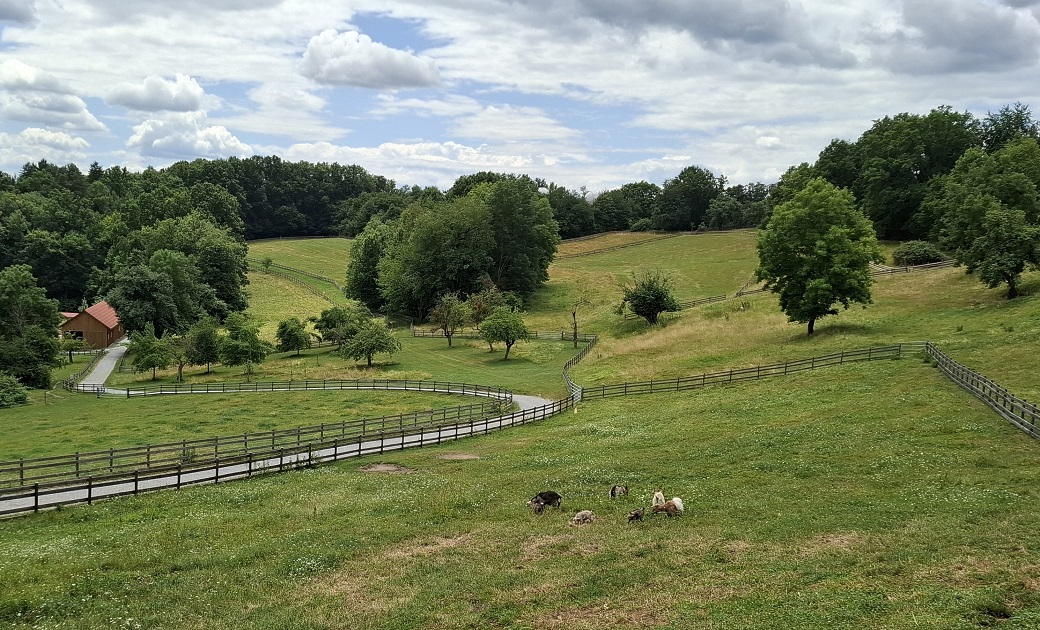 Landwirtschaft Lustbühel Landwirtschaft Lustbühel
