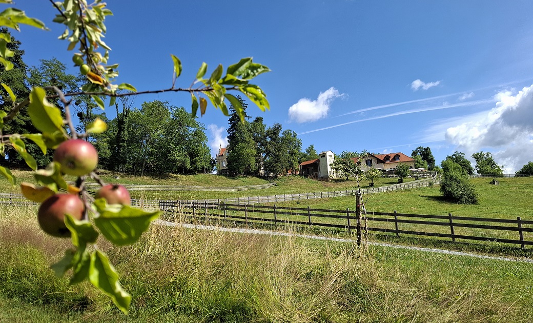 Schule am Bauernhof