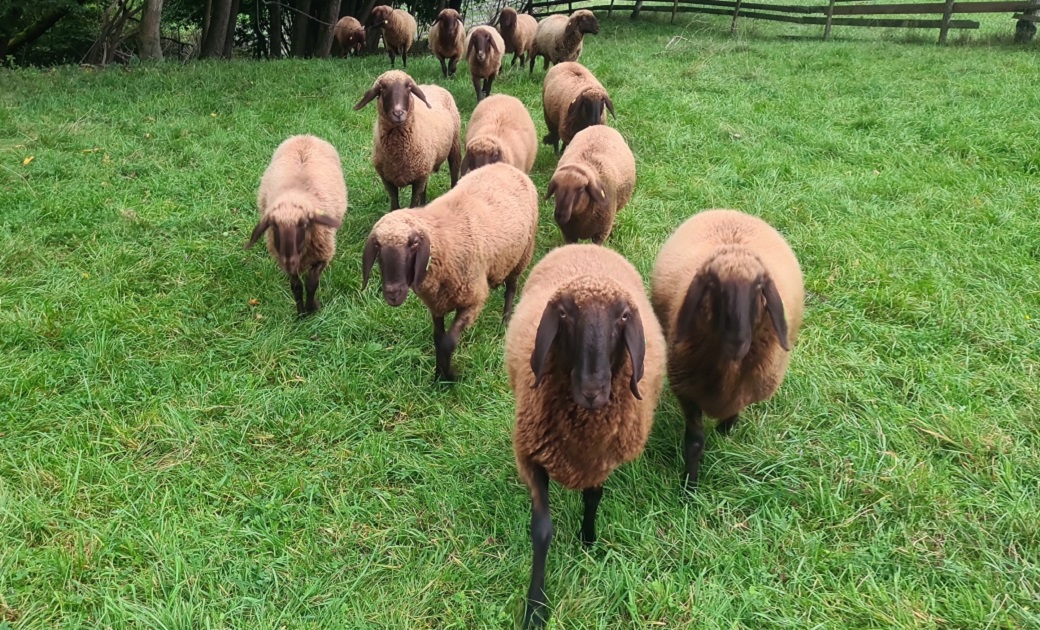 Unsere Tiere