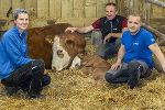 Teamfoto Landwirtschaft Lustbühel