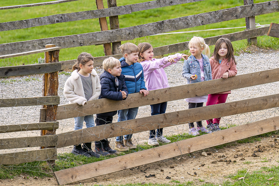Unser Angebot richtet sich an Kindergarten- und Volksschulgruppen.