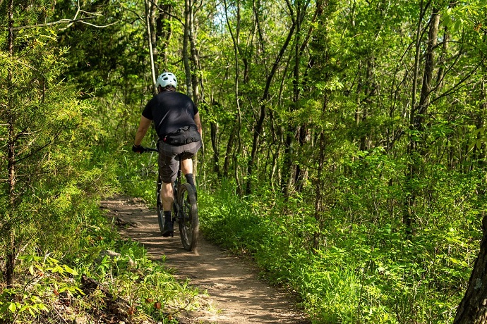 Symbolbild: Mountainbiketrails und -strecken