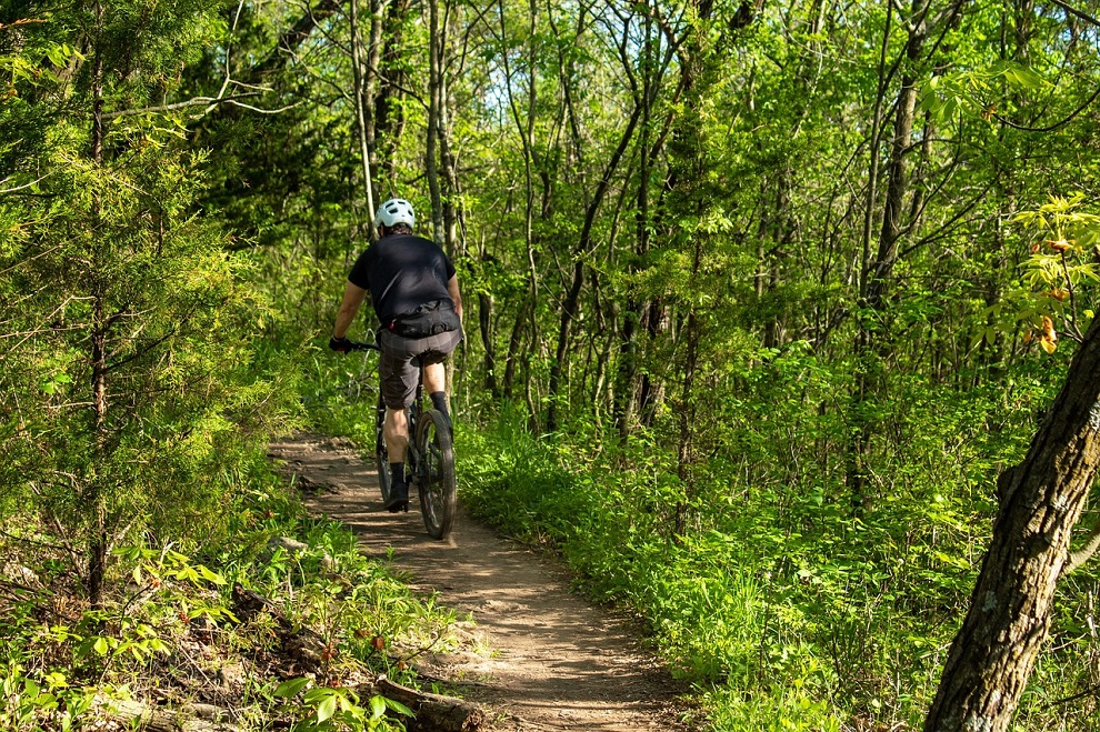 Wo gibt es in Graz legale Mountainbiketrails und -strecken? Plabutsch, Buchkogel, Weinitzen/Platte. © Pixabay/jotoya Wo gibt es in Graz legale Mountainbiketrails und -strecken? Plabutsch, Buchkogel, Weinitzen/Platte.