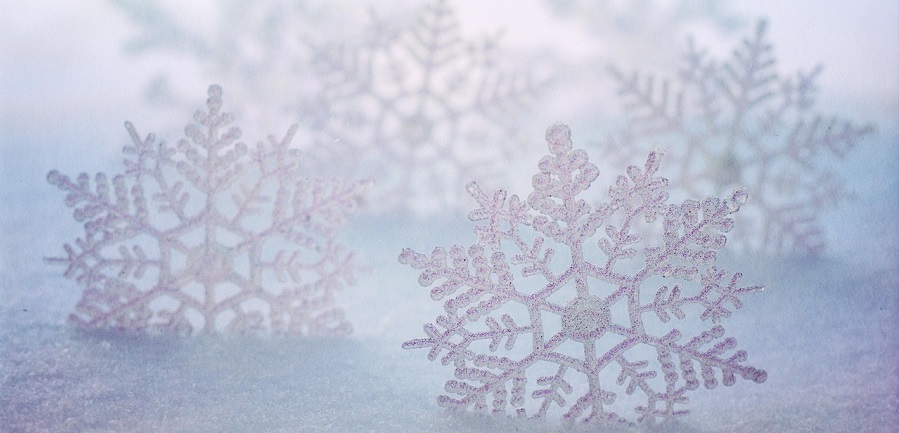 Bitte meiden Sie derzeit den Aufenthalt unter Bäumen und in Parkanlagen!