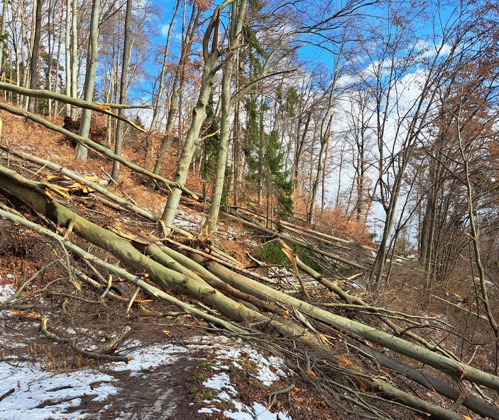 Der Buchkogel ist ab sofort gesperrt! © GBG/Feicht Der Buchkogel ist ab sofort gesperrt!