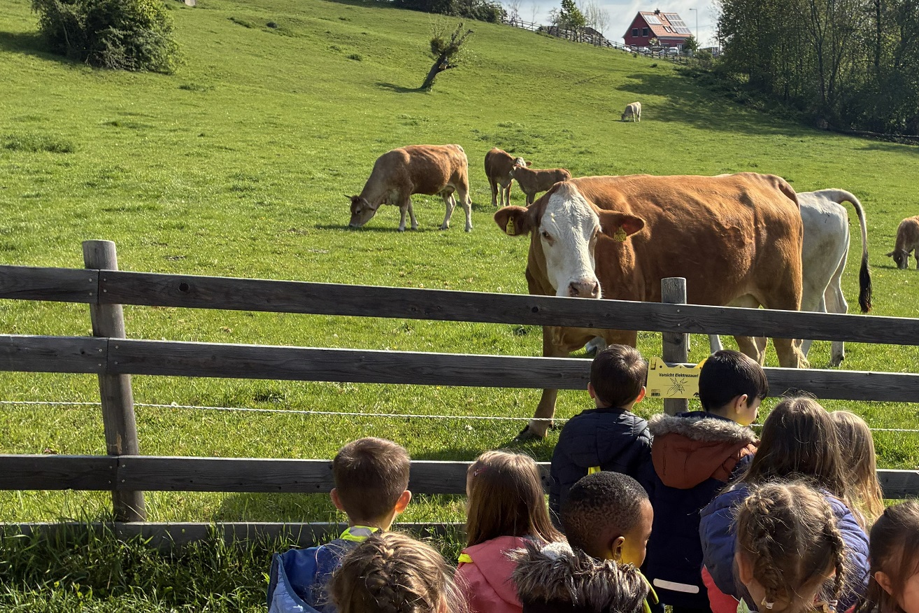 So geht Landwirtschaft