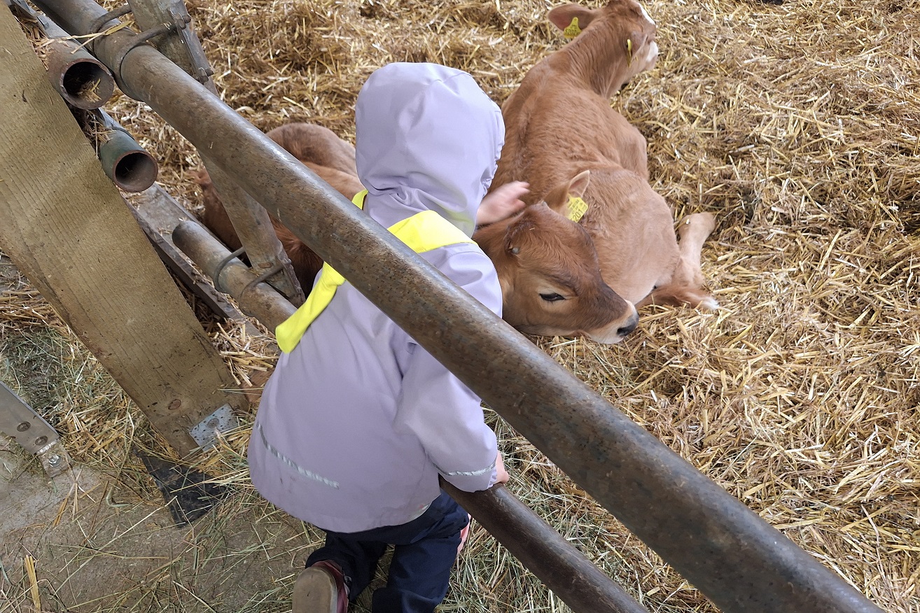 Wir versuchen den Kindern die Vorgänge einer Landwirtschaft näherzubringen.